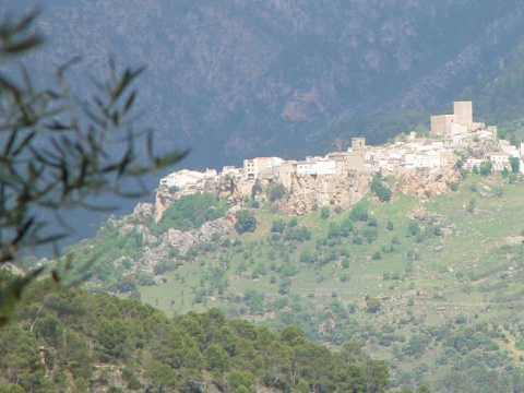 hoch oben über den Oliven-Hainen - over the olive trees