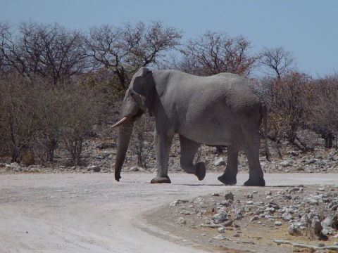 Namibia, wo sonst - where else 